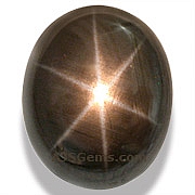 Black Star Sapphire - 8.20 carats